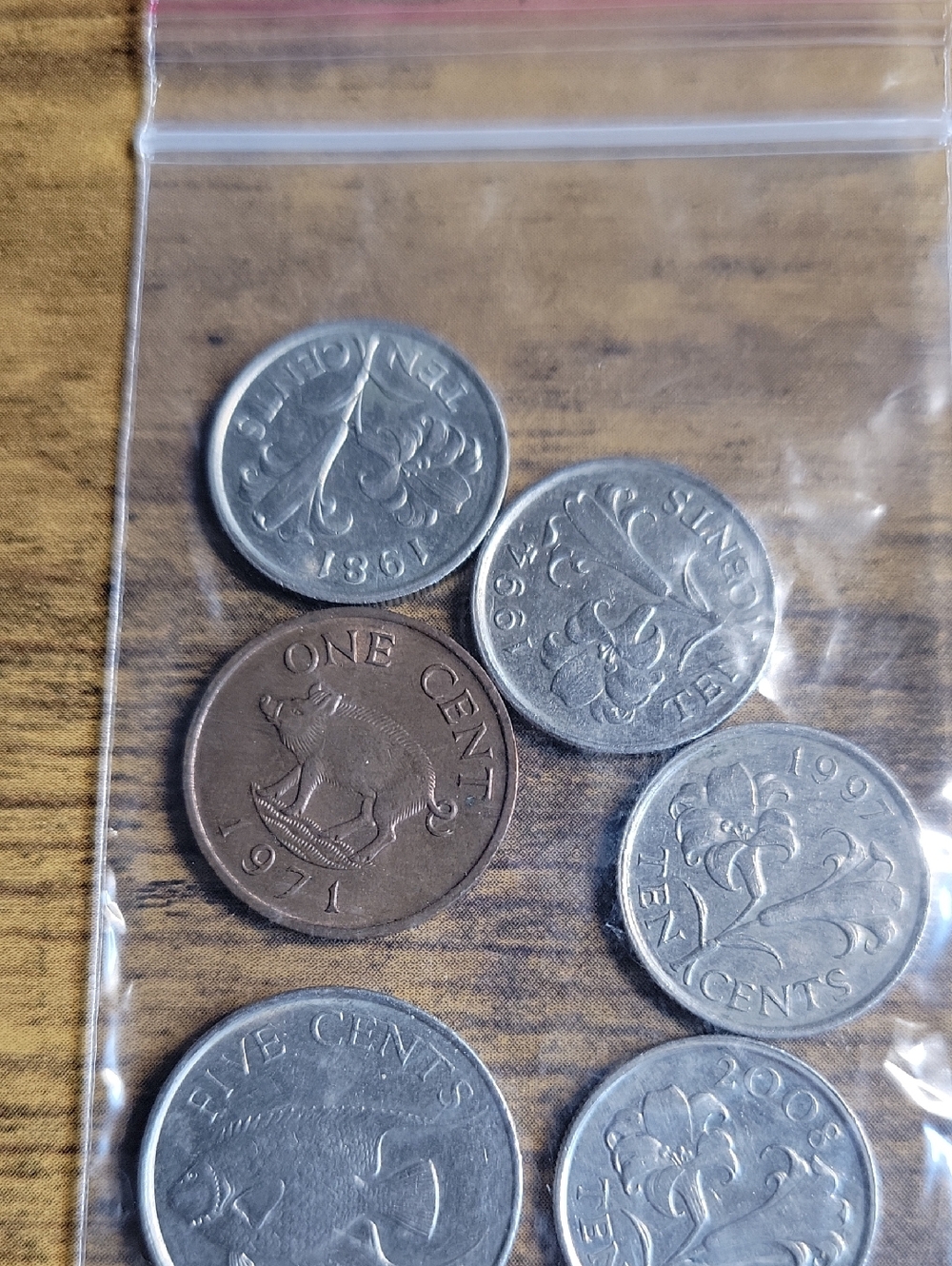 Mixed Bermuda Coin Lot with One Brown One-Cent Coin and Silver-Toned Cents
